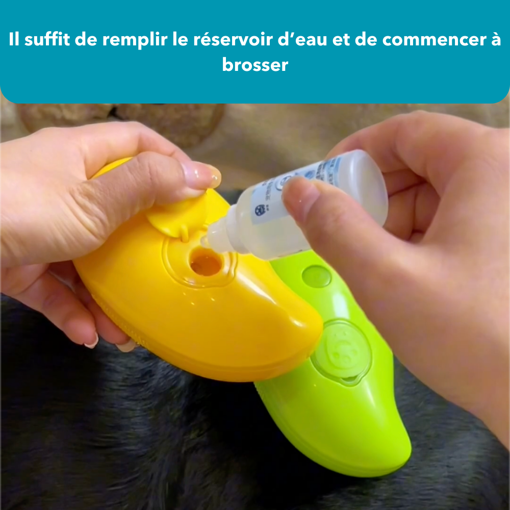 SteamDog - Brosse vapeur pour chien King Shop